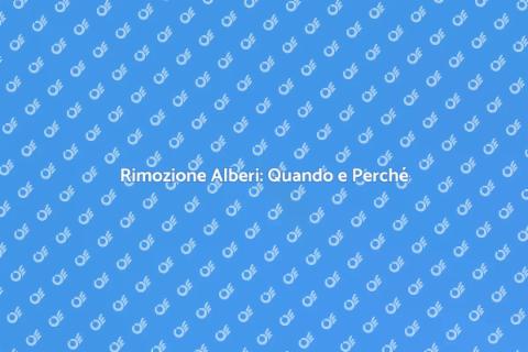 Rimozione Alberi: Guida Completa