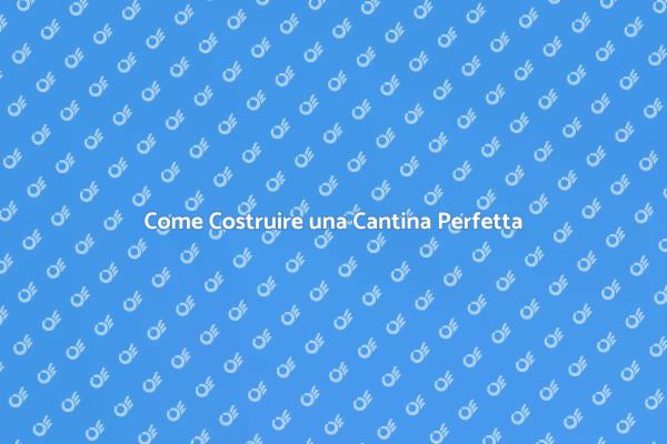 Costruzione della Cantina: Tutto Ciò che Devi Sapere