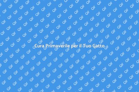 Toelettatura Primaverile per Gatti