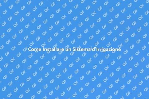Sistema d'Irrigazione: Guida Essenziale