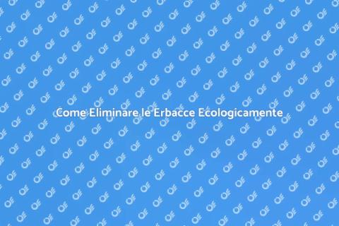 Giardino Senza Erbacce: Metodi Ecologici