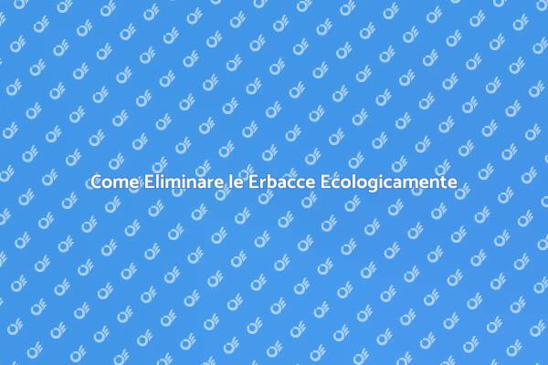 Giardinaggio Sostenibile: Stop alle Erbacce