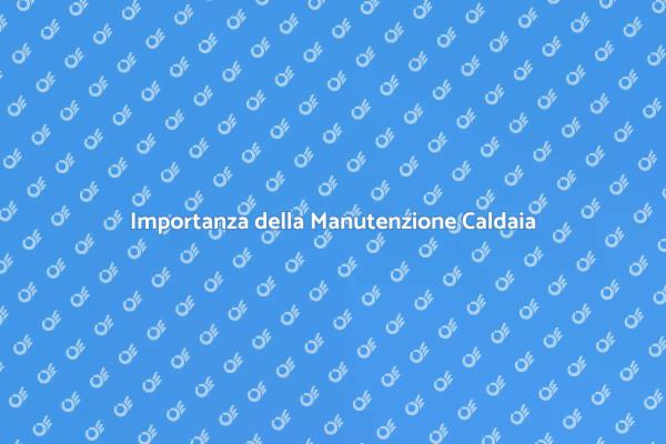 Manutenzione Caldaia: Comfort e Sicurezza