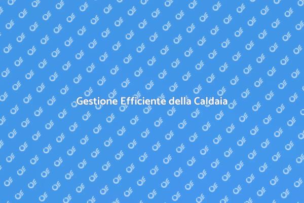 Programmazione Efficace della Caldaia