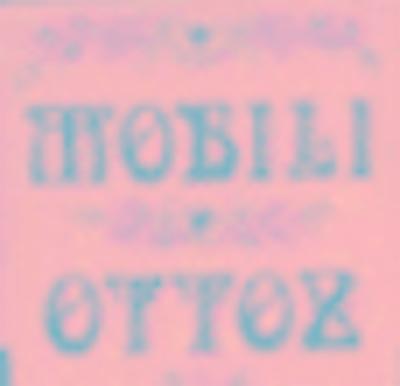 Mobili Ottoz  - Foto 1