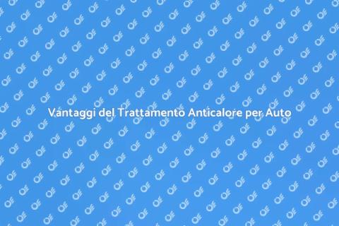 Pulizia Veicolo con Trattamento Anticalore