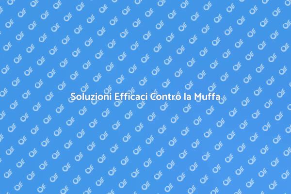 Muffa: Come Proteggere la Tua Casa
