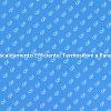 Comfort e Design: Termosifoni a Parete