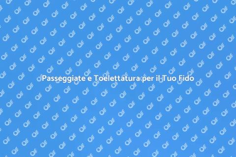 Dog Walking e Toelettatura per Cani