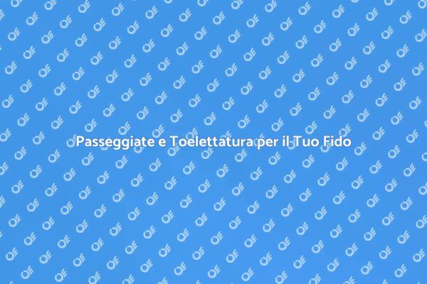 Il Miglior Servizio per il Tuo Cane