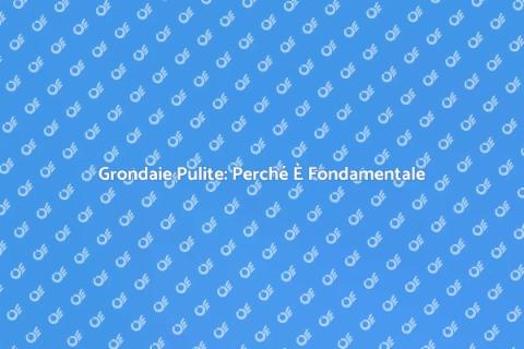 Pulizia Grondaie: Servizio Essenziale