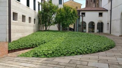Habitat Natura  - Foto 5