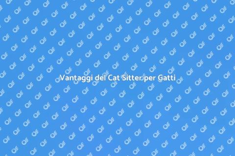 Cat Sitter Professionale: Vantaggi