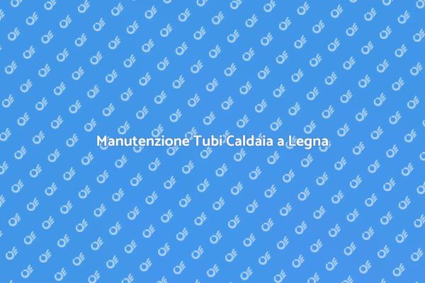 Manutenzione della Caldaia a Legna