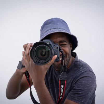 Media Lens King