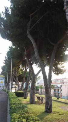 Il Giardino  - Foto 6