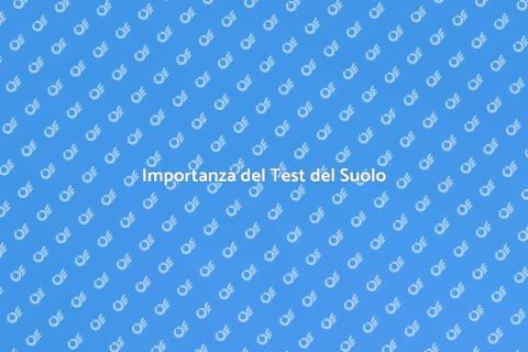 Test del Suolo: Guida al Giardinaggio