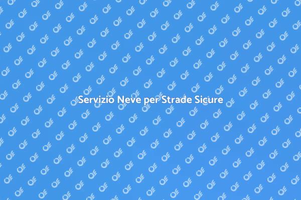 Sicurezza Invernale: Rimozione Neve