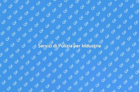Pulizia Industriale Eccellente