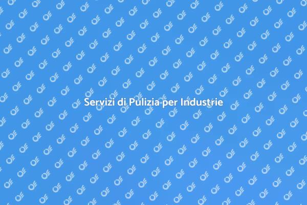 Eccellenza nella Pulizia Industriale