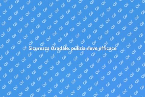Pulizia neve su strade pubbliche