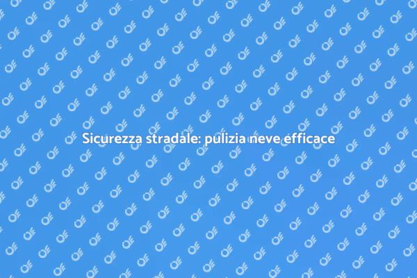 Interventi di pulizia neve essenziali