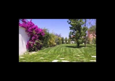 La Flora  - Foto 4