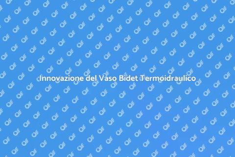 Vaso Bidet Termoidraulico: Comfort e Igiene