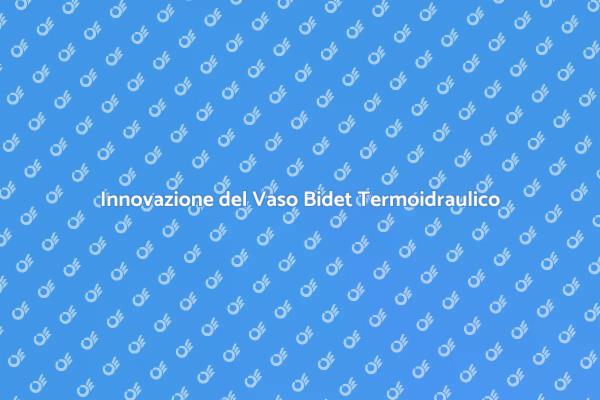 Vaso Bidet Termoidraulico: Una Rivoluzione