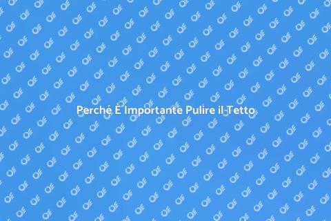 Pulire il Tetto di una Casa