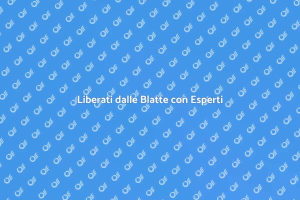 Combatti le Blatte con il Nostro Servizio