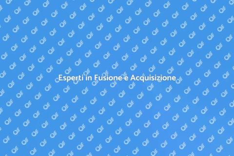 Consulenza Fusione e Acquisizione