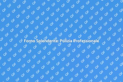 Pulizia Professionale del Forno
