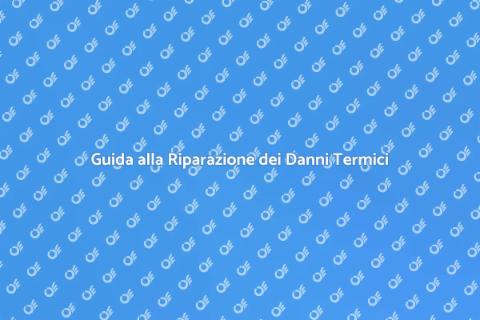 Riparazione Danni da Sovratemperatura
