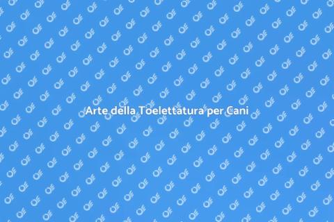 Toelettatura Cani per il Teatro