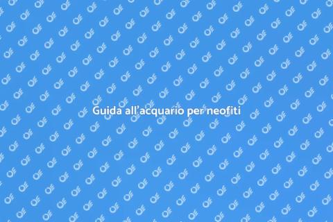 Acquario per principianti: guida utile