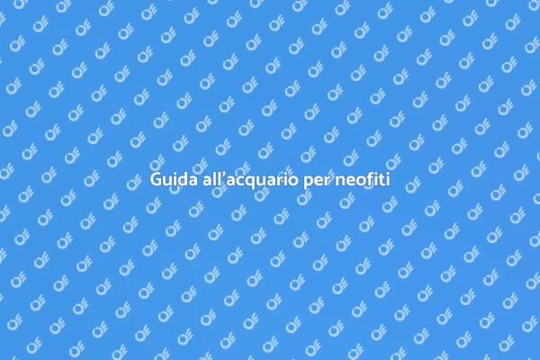 Inizia il tuo viaggio nell'acquario