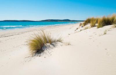 Le Dune Immobiliare  - Foto 3