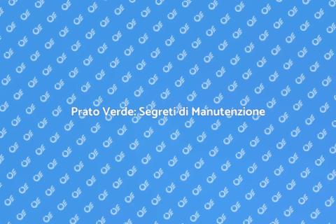 Manutenzione Prato: Giardino Perfetto