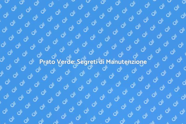 Prato Sano: Guida alla Manutenzione