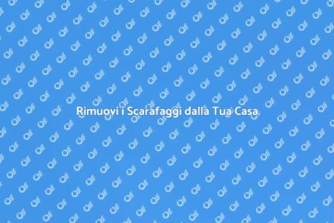 Disinfestazione Scarafaggi Efficace