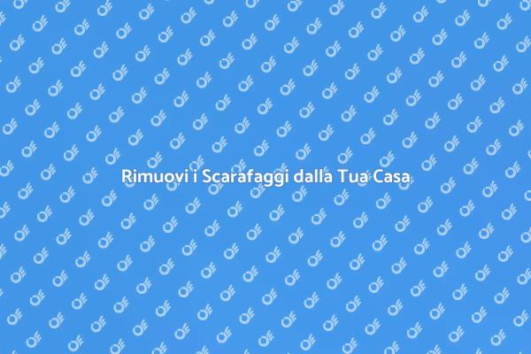 Liberati dai Scarafaggi Oggi Stesso