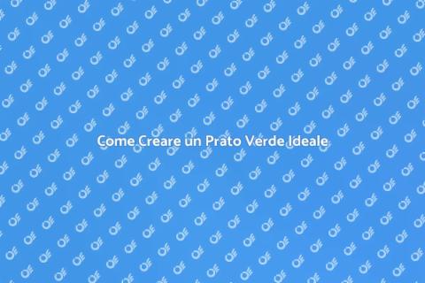 Prato Perfetto: Guida al Giardinaggio