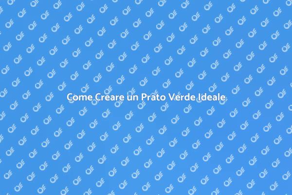 La Tua Guida per un Prato Perfetto