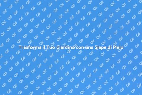 Siepe di Melo: Bellezza in Giardino