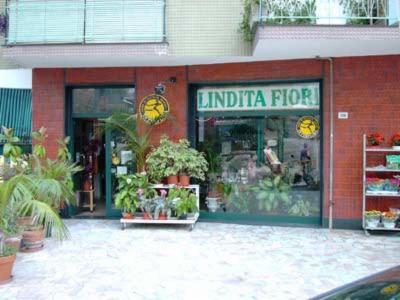 Lindita Fiori  - Foto 2