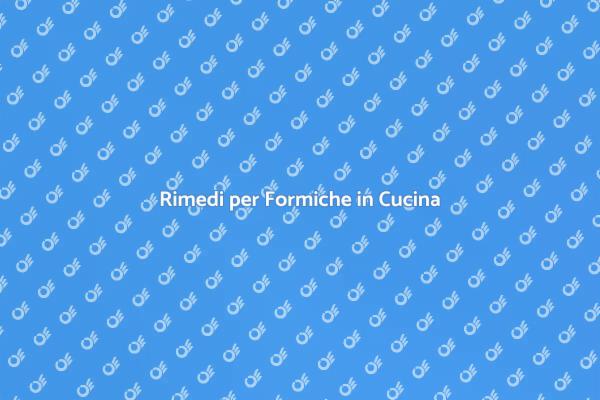 Combatti le Formiche in Cucina