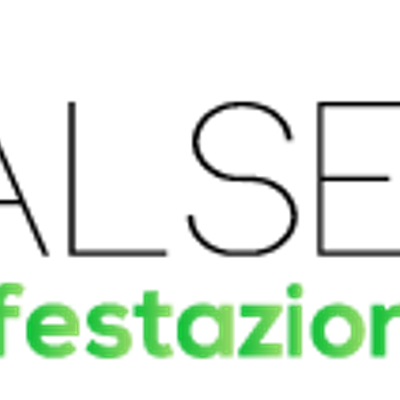 ITALSERVICE SRL