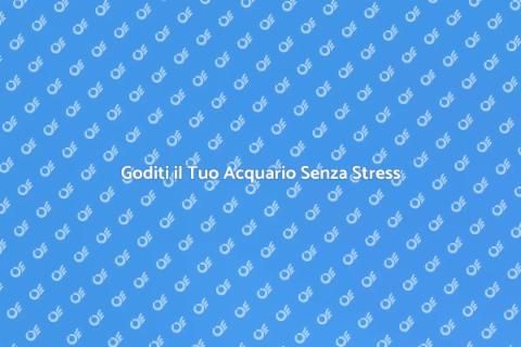 Acquario Senza Stress: La Tua Oasi