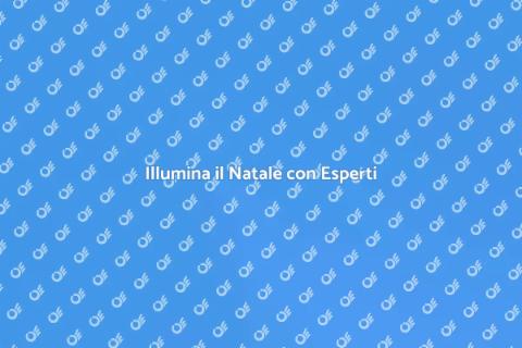 Decoratore di Luci Natalizie